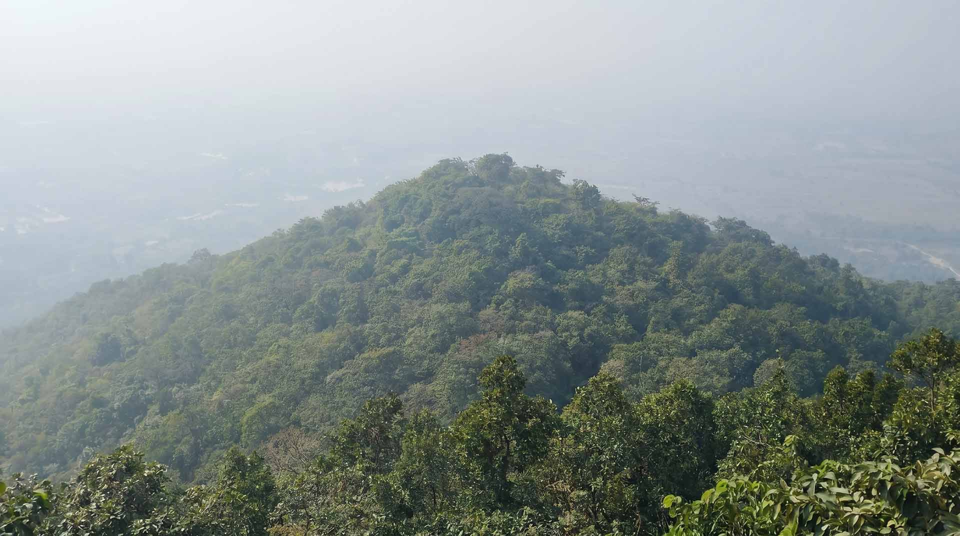 A peaceful view of Susunia Hill's rich bio-diversity, showing a hillside covered in thick green trees and quiet nature far away from the city.