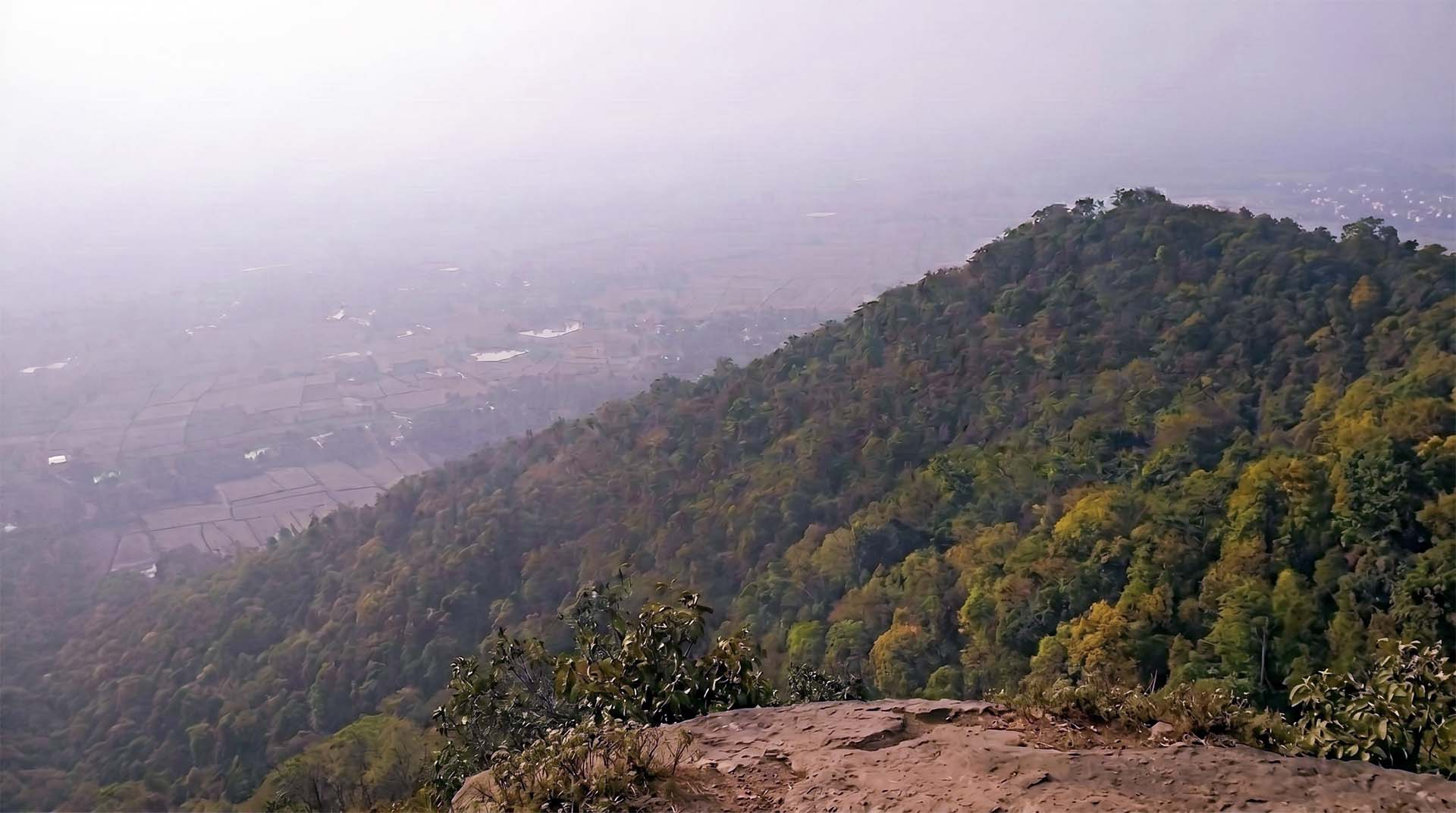A peaceful winter view from the rocky cliffs of Susunia Hill, showing the thick, diverse greenery of the forest as it overlooks the quiet plains below.